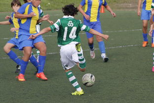 mk体育平台网页版入口-中国足球国家队备战友谊赛调整战术策略，国足 友谊赛